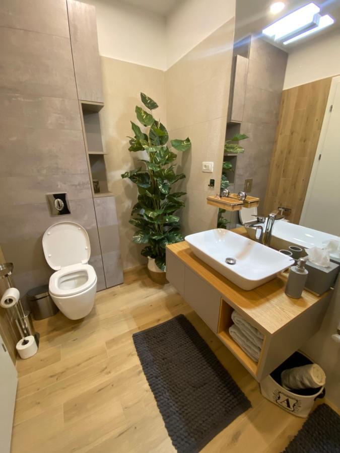布拉索夫Art'Penthouse公寓式酒店 外观 照片