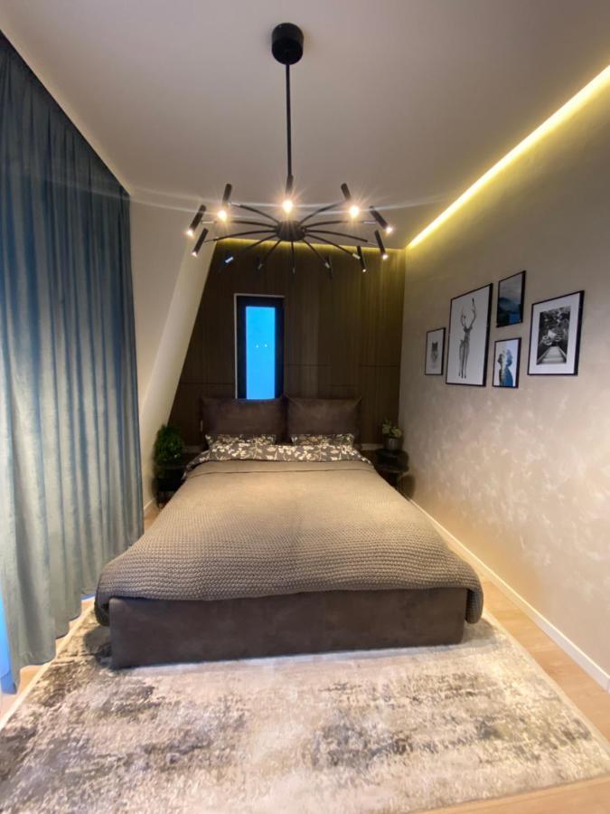 布拉索夫Art'Penthouse公寓式酒店 外观 照片